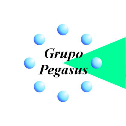 Grupo Pegasus
